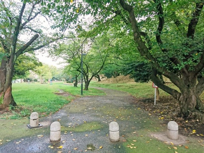 【周辺】 | ヴィークコート梶ヶ谷 | 梶ヶ谷第一公園
