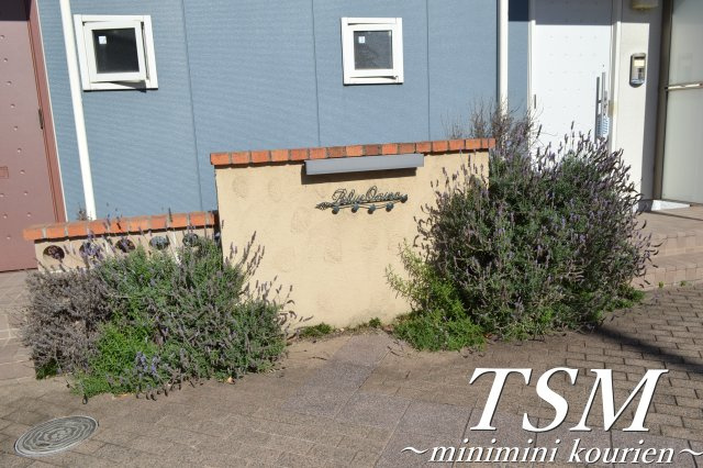 ブルーオニオンの外観