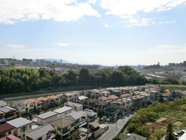 パレス朝霧の展望