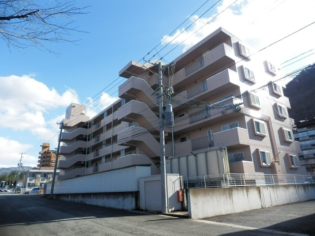 ラムセスＡ松波|サンプル写真となります。