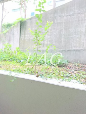 【展望】 | トップ成増第3 | 眺望です。