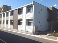 センプリスの画像