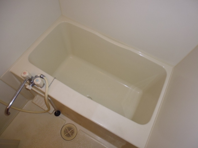 ヴィーブライトの浴室