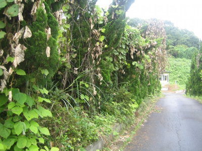 【外観】 | 大田原市大輪300万円　土地