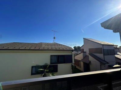 【展望】 | ヤマボウシ