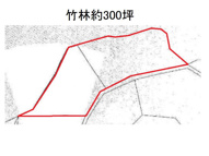 山科区小山大石山　農地（竹林）の画像