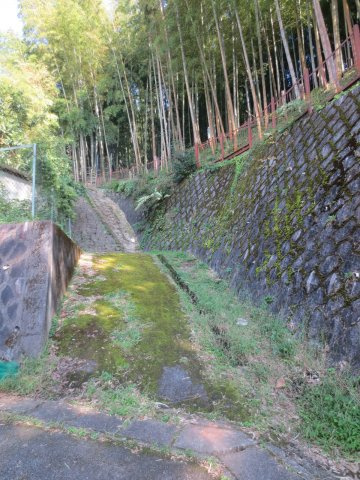 【外観】 | 山科区小山大石山　農地（竹林）