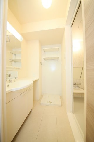 ルミエールASUKAの洗面所