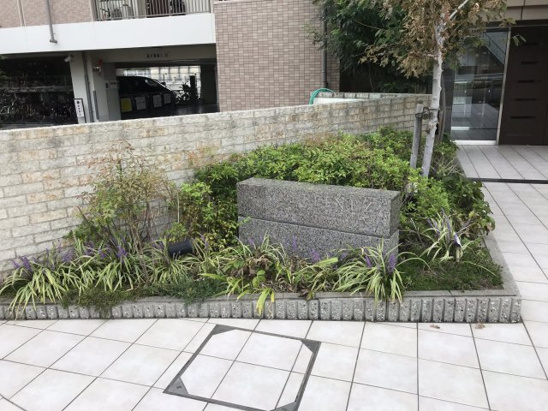 【エントランス】