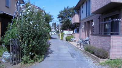 【周辺】 | ドミール