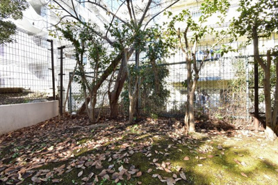【展望】 | 鷺沼南パークホームズ参番館 | 2階部分からの眺望♪