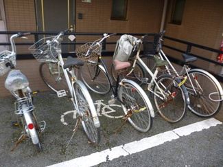 【その他共用部分】 | 敷地内に駐輪場があります！自転車があれば通勤・通学、お買い物にも便利♪荷物が重いときに自転車があれば助かりますね☆