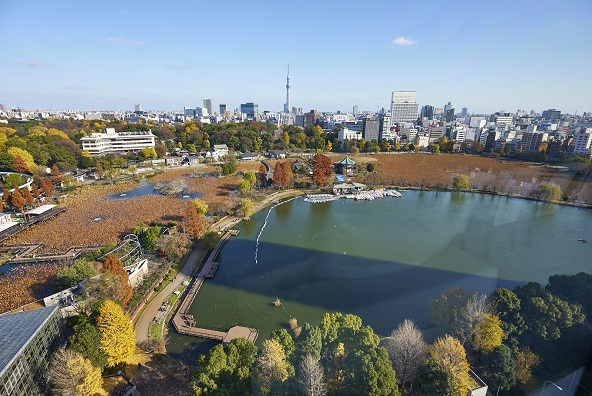 台東区池之端２丁目の賃貸マンションのその他|スカイラウンジからの眺望