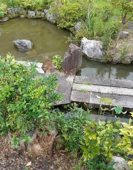 【その他】 | K10311-金閣