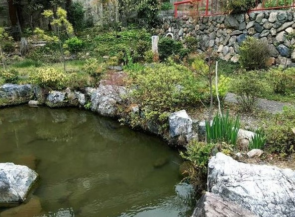 【その他】 | K10311-金閣