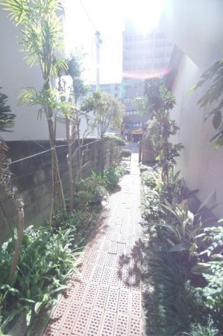那の川戸建Ⅱのエントランス|那の川戸建Ⅱ(1-2階）
植物がお出迎え