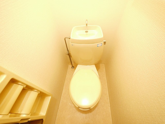 ソレイユ（田部町）のトイレ|落ち着いたトイレです