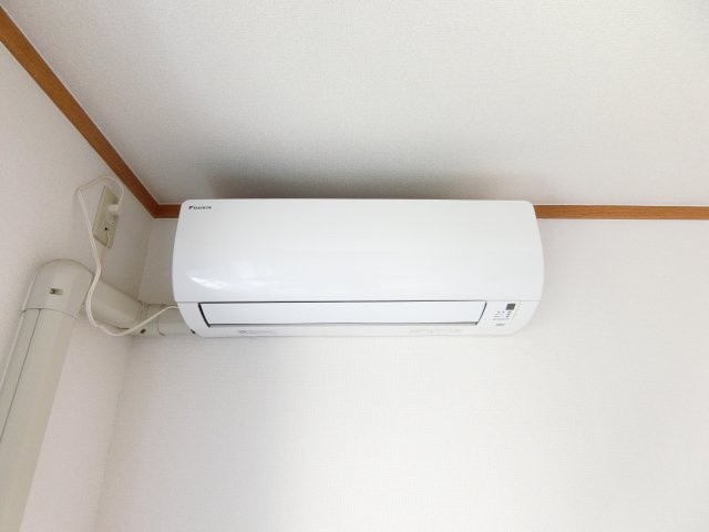 アムール福の内装
