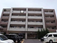 風雅の画像