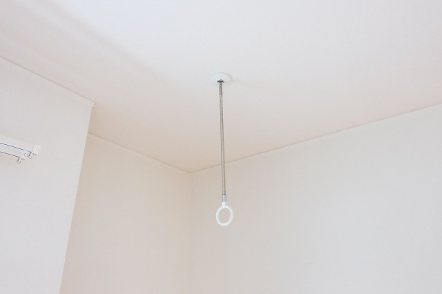 Cerisierのセキュリティ