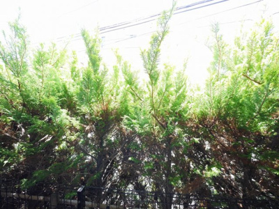 【展望】 | シュールメゾン戸塚