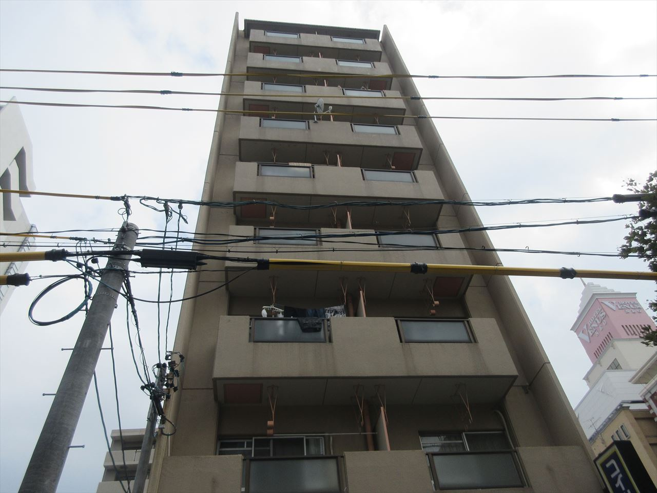 千早ハイリス