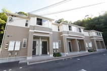 スターフォレストの画像