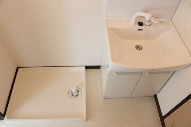 メゾン河口の洗面所