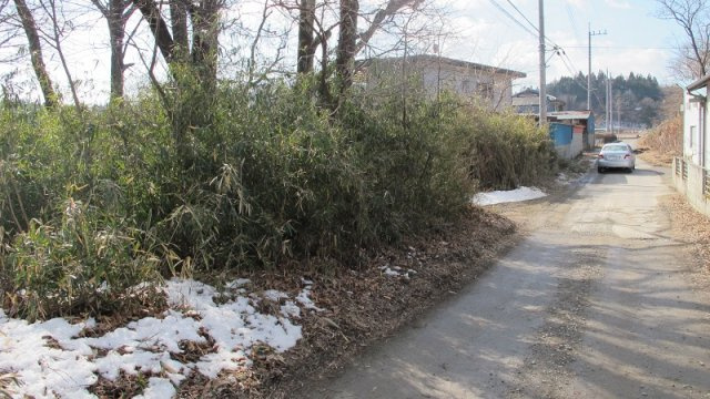 【前面道路含む現地写真】