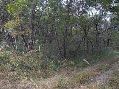 【外観】 | 那須塩原市青木250万円　土地