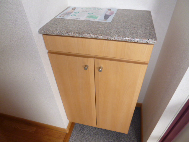 レーベン中畝ⅢＢの玄関|シューズボックス