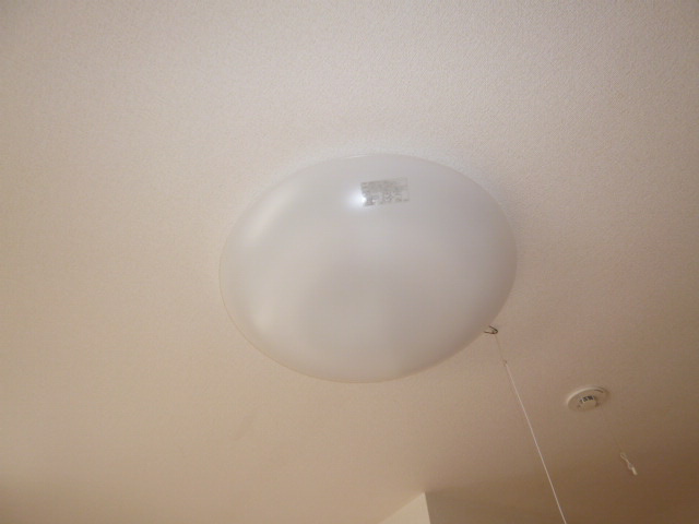 レーベン中畝ⅢＢの設備|照明器具