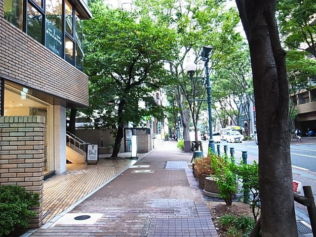 モダンパラッツォけやき通りの周辺|モダンパラッツオけやき通り（2F)