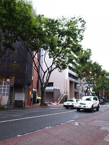 モダンパラッツォけやき通りの外観|モダンパラッツオけやき通り（2F)