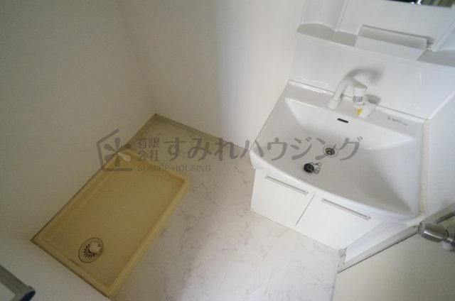 ビオラハウスⅡの洗面所