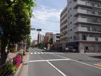 【周辺】 | ハウス金杉 | ハウス金杉　物件前　金杉通り沿いの物件です！
