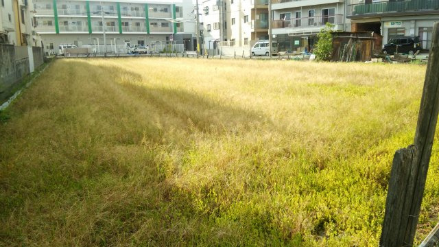 下坂部1丁目 貸土地の外観