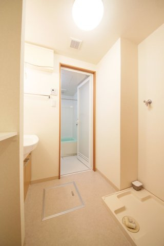 サプリーム大田川の洗面所