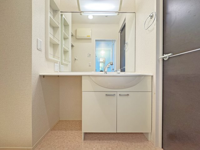 D-room エクウスの洗面所