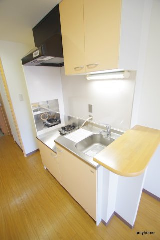 アリオーラ西梅田　仲介手数料無料のキッチン