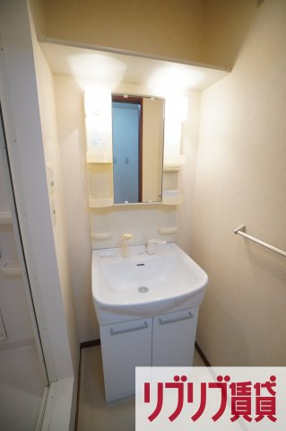 メゾン桜の洗面所