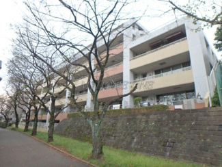 【外観】 | 外観