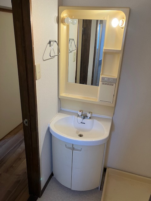 メゾン神代の洗面所