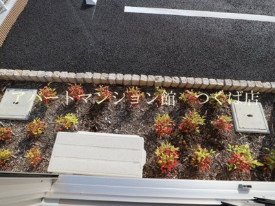 【展望】 | アネサキ3