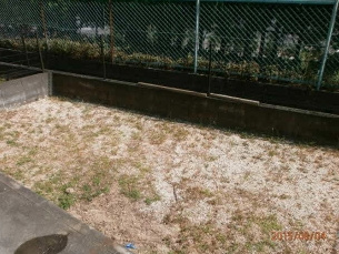 レジデンス国分Ｂ棟の庭