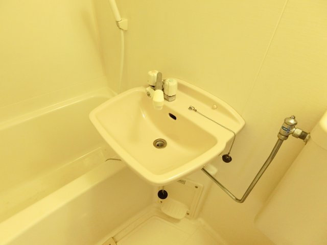 ベルヒルズSENGOKUの洗面所