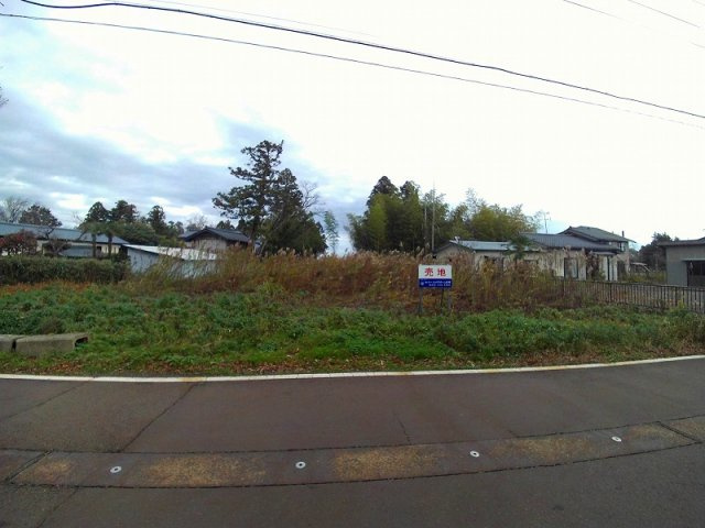 【外観】 | 旧中ノ口村高野宮売地 | 一部樹木が生茂っています