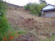 秋葉２丁目売地の画像