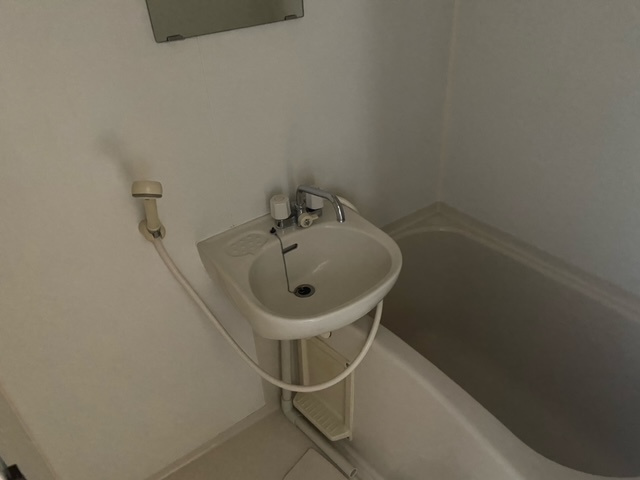 ヴェルビュ桜町の浴室