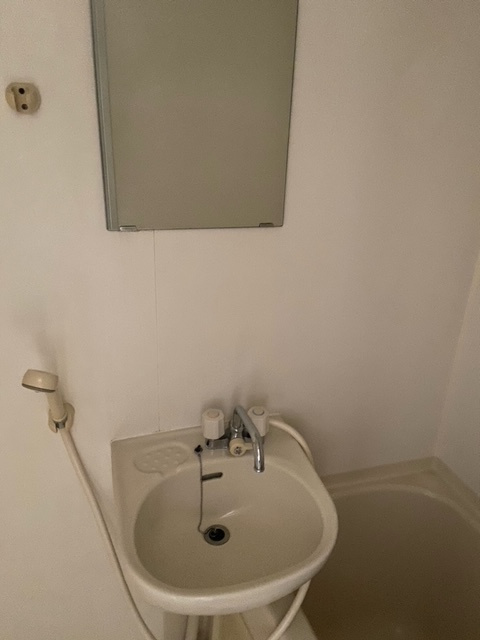 ヴェルビュ桜町の洗面所